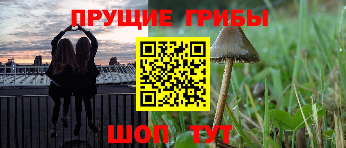 Тельмана  Псилоцибиновые грибы мицелий  Галлюциногенные грибы MAGIC MUSHROOMS  Вход с VPN 