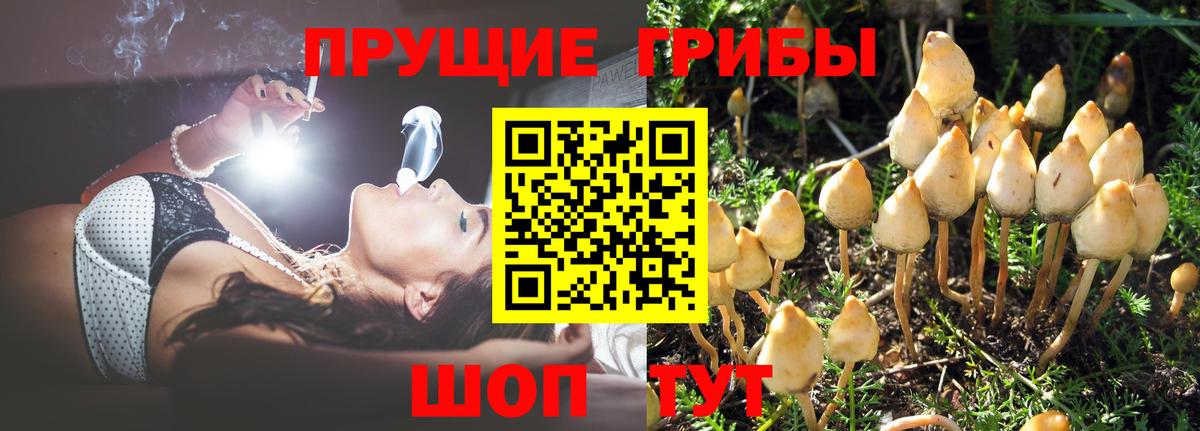 Галлюциногенные грибы Magic Shrooms Тельмана